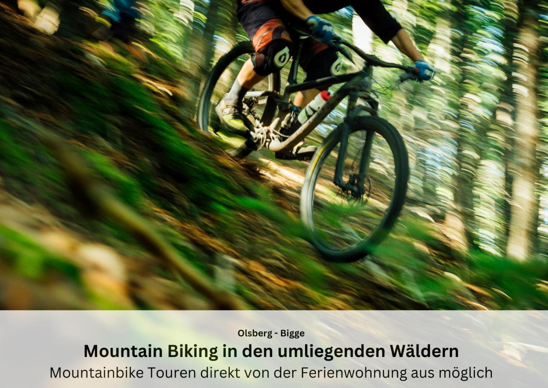 Ferienwohnungen Sauerland Und Olsberg Luaran gambar
