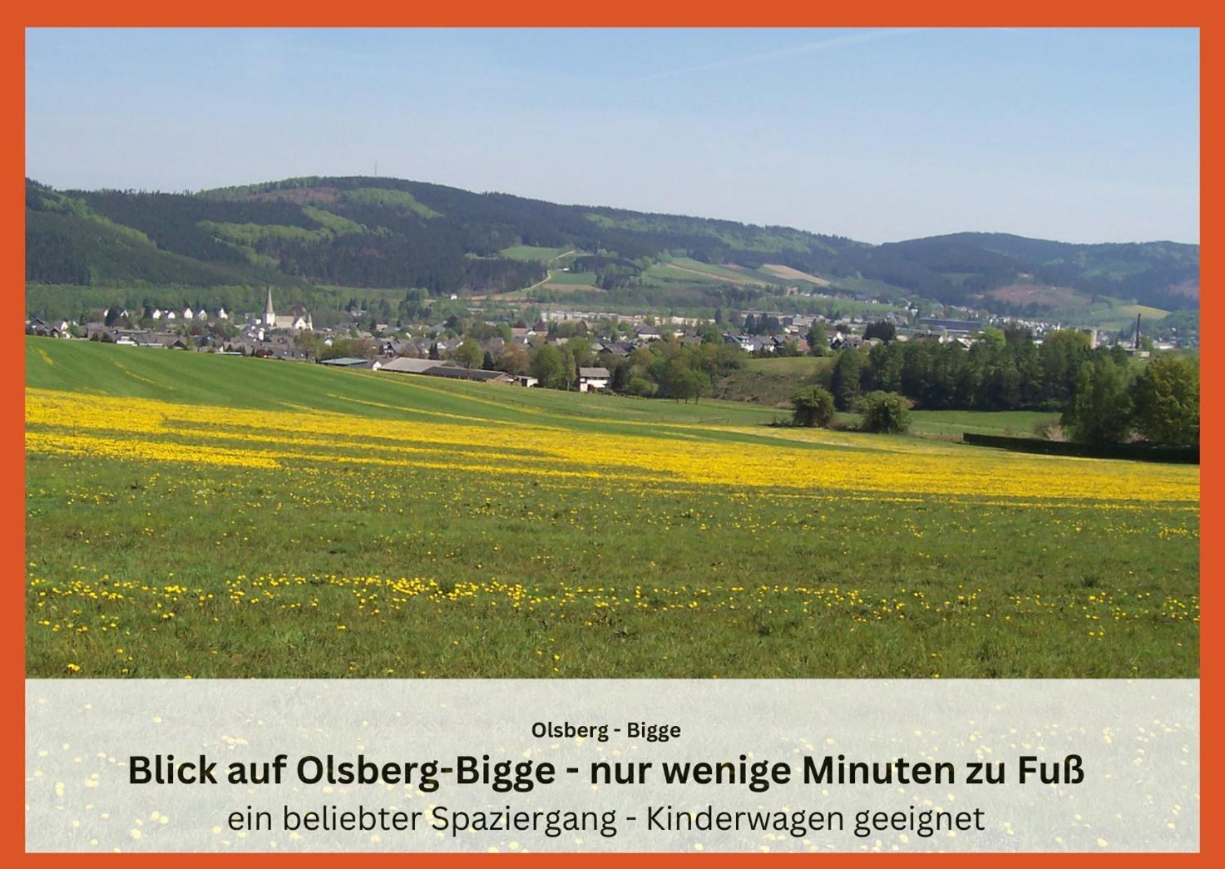 Ferienwohnungen Sauerland Und Olsberg Luaran gambar