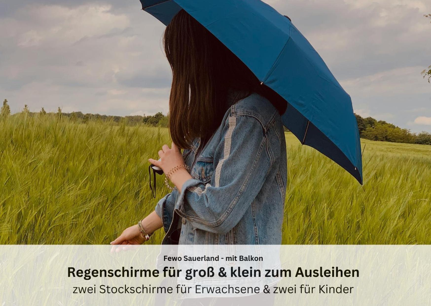Ferienwohnungen Sauerland Und Olsberg Luaran gambar