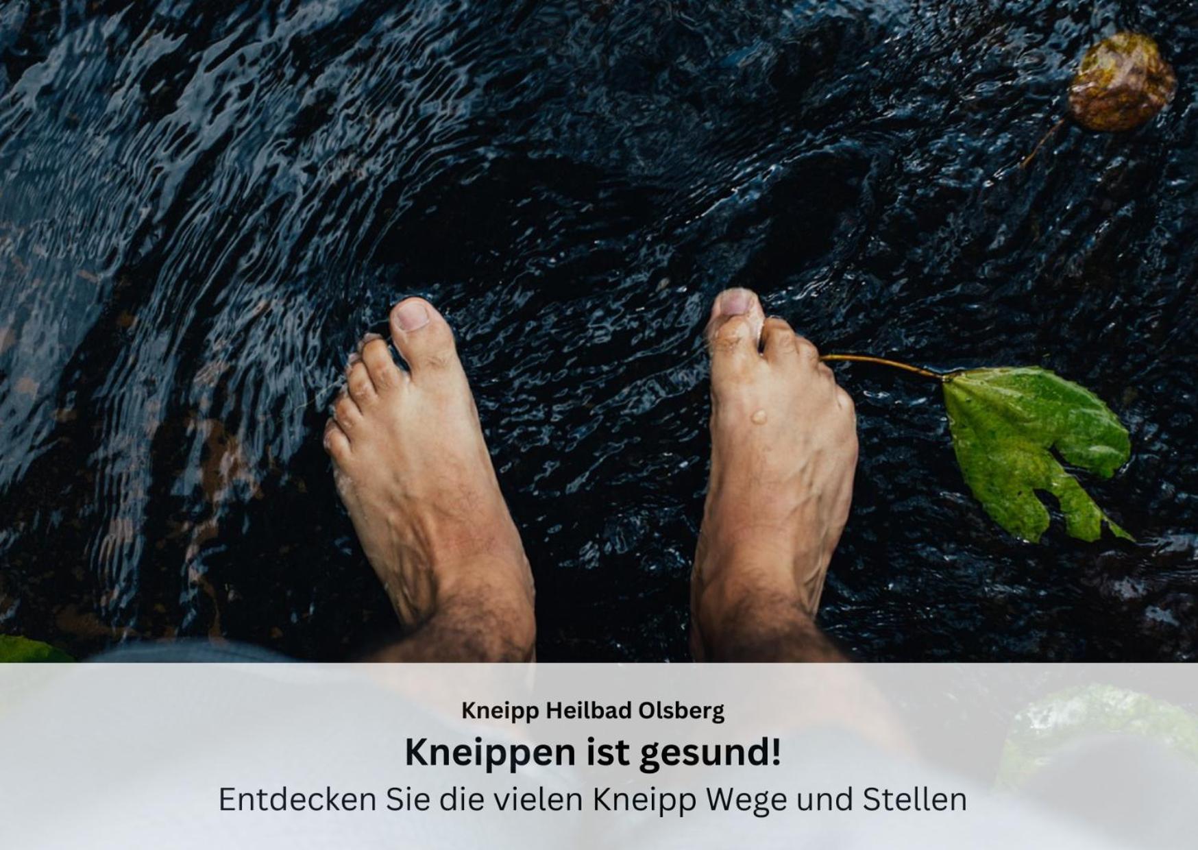 Ferienwohnungen Sauerland Und Olsberg Luaran gambar