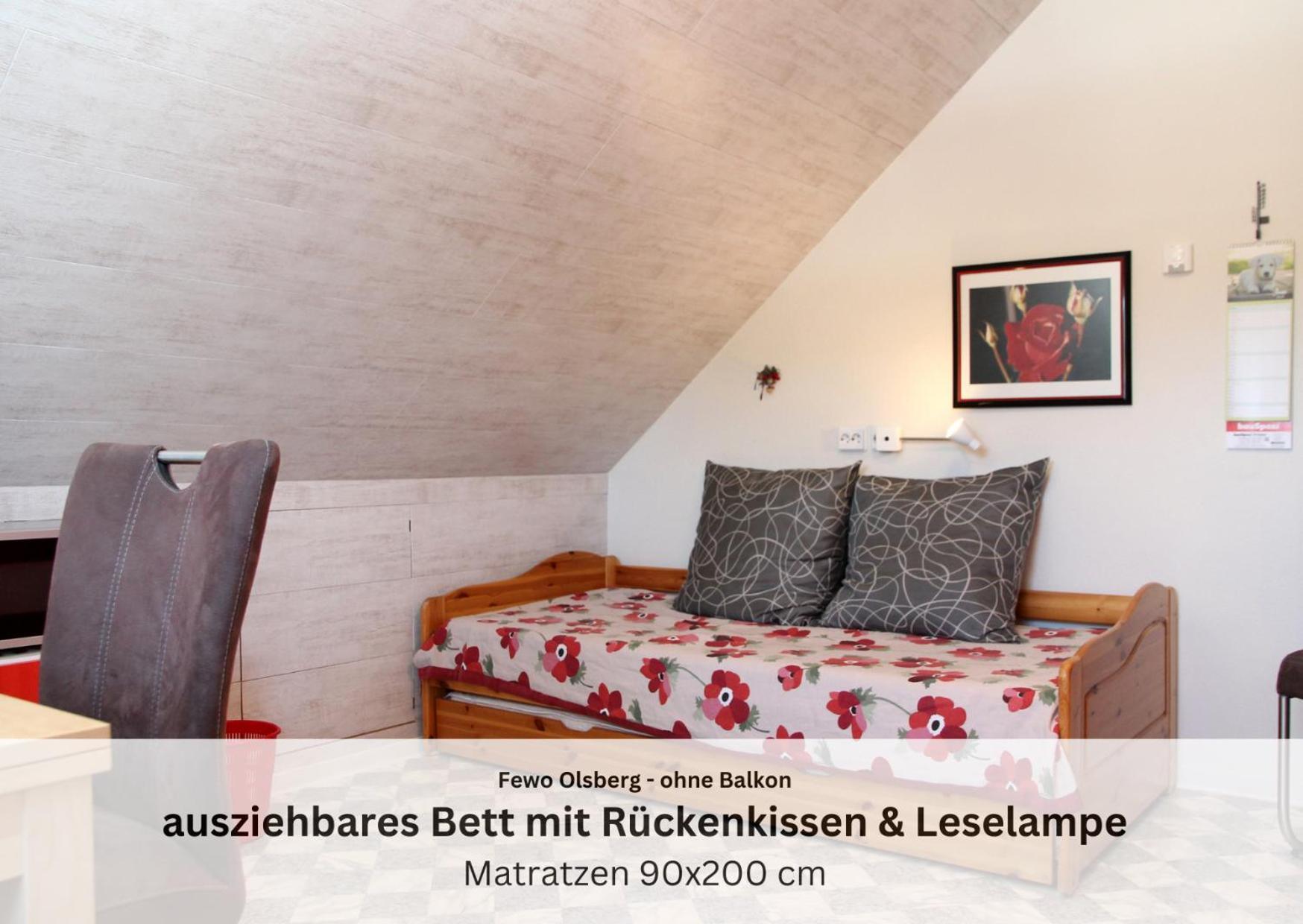 Ferienwohnungen Sauerland Und Olsberg Luaran gambar