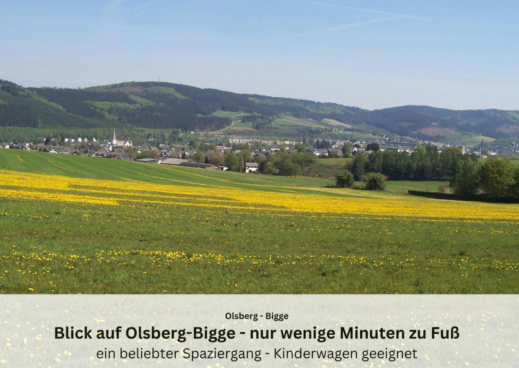 Ferienwohnungen Sauerland Und Olsberg Luaran gambar