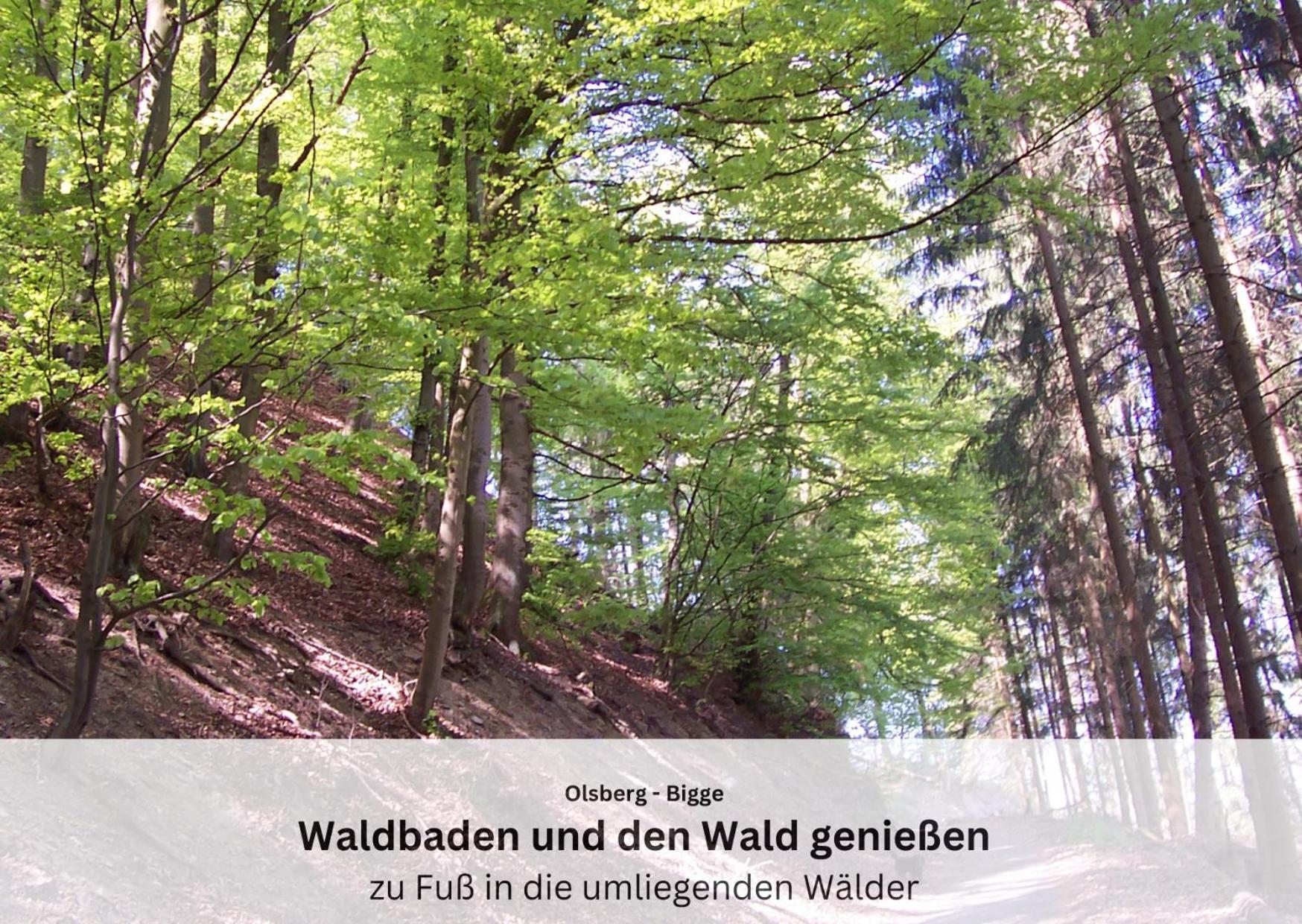 Ferienwohnungen Sauerland Und Olsberg Luaran gambar